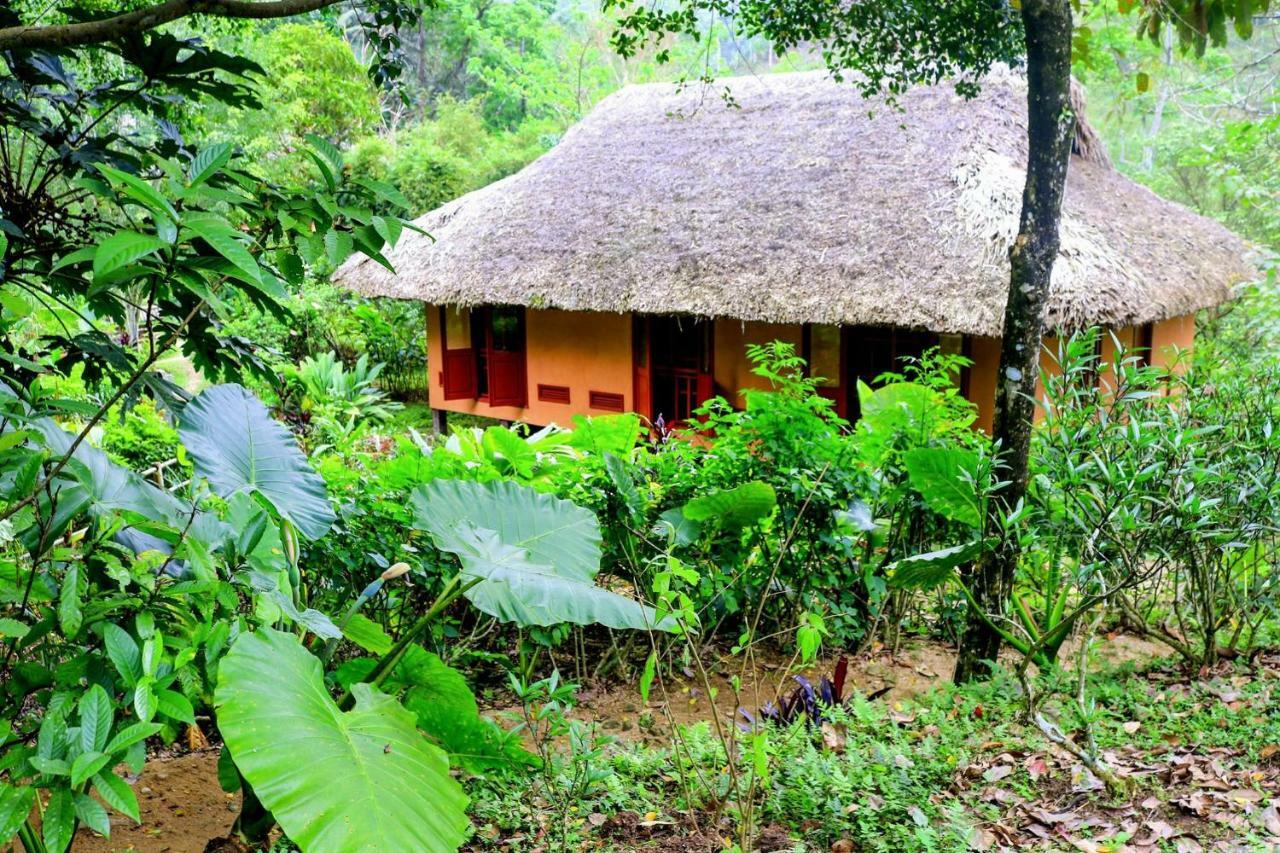 Panhou Retreat Hotel Ha Giang Exterior foto